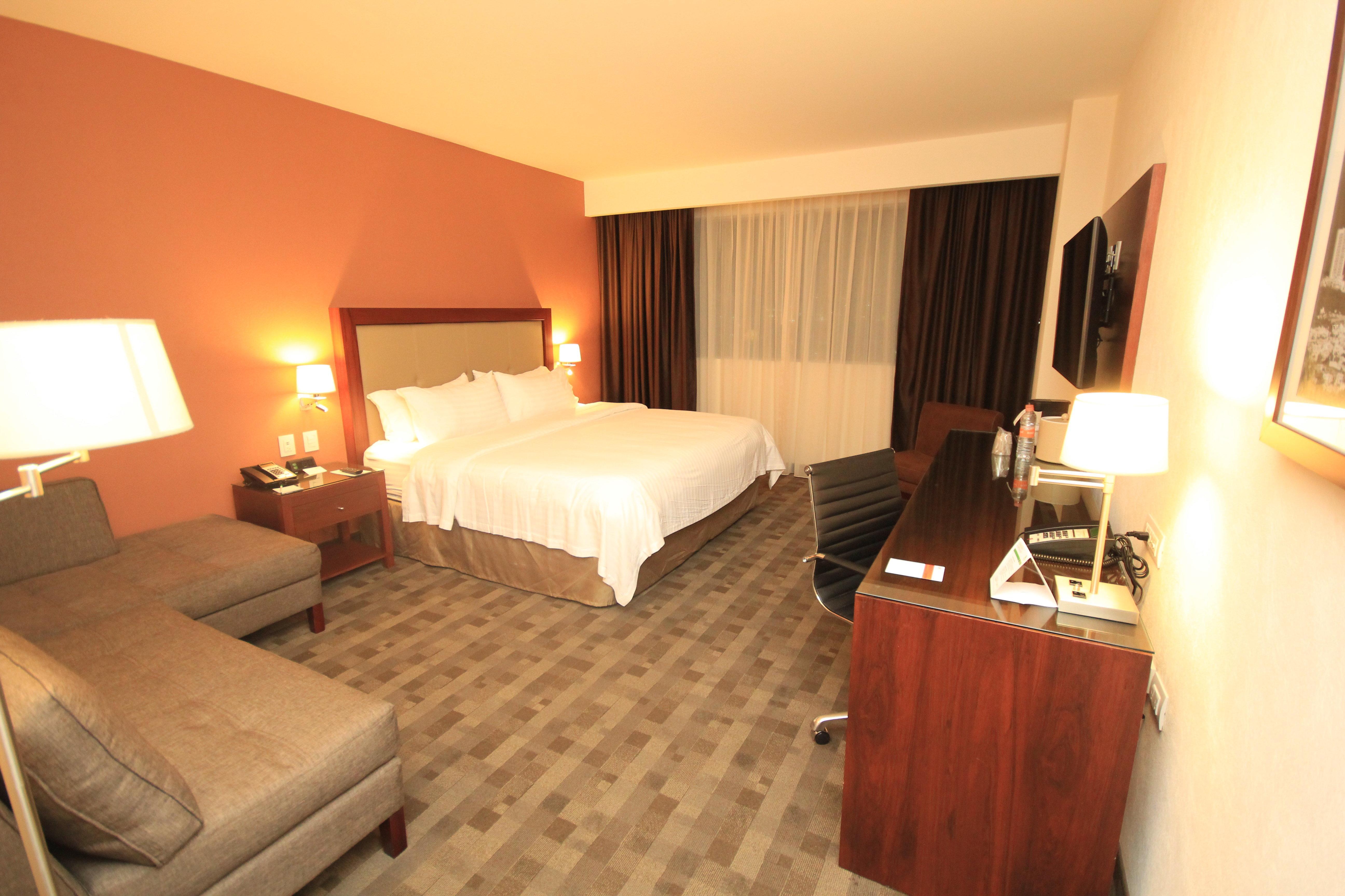 Holiday Inn & Suites Plaza Mayor By Ihg León Eksteriør billede