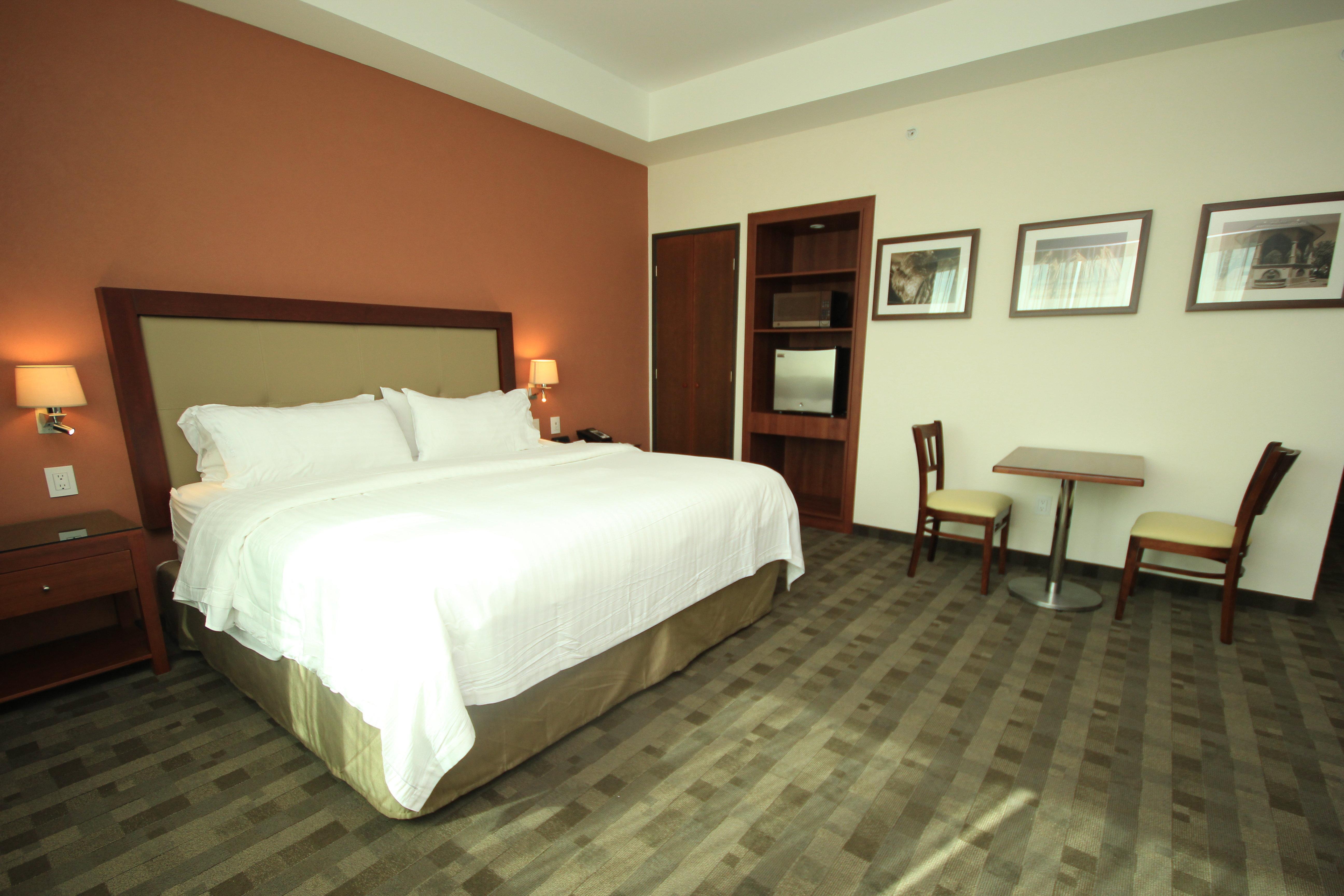 Holiday Inn & Suites Plaza Mayor By Ihg León Eksteriør billede